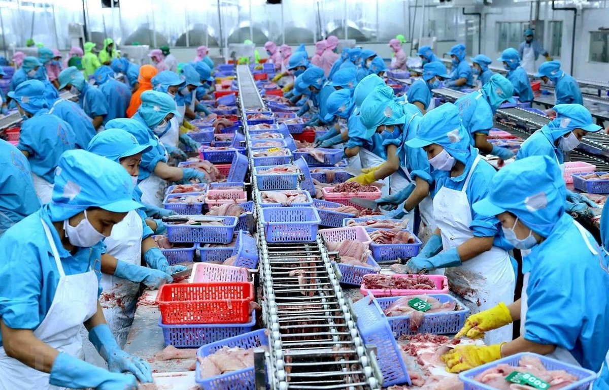 Chế biến sâu mở dư địa tăng giá trị cho xuất khẩu thủy sản